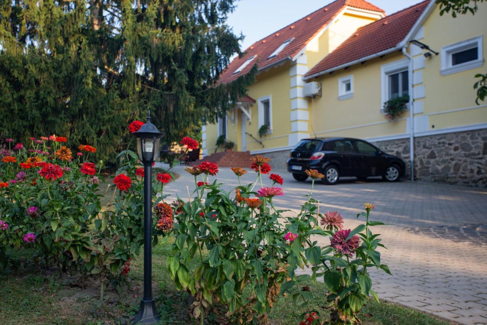 Kondics Apartmanhaz Sarvar Exterior photo